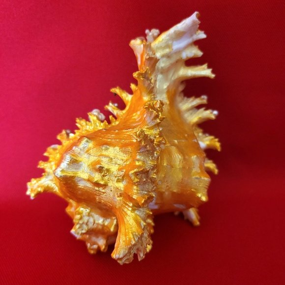 Bird Standing on Sea Shell Table Decor - Picture 2 of 12